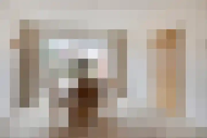 Wulpstraat 15 Hardenberg thumbnail 14