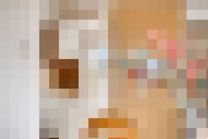 Wulpstraat 15 Hardenberg thumbnail 17