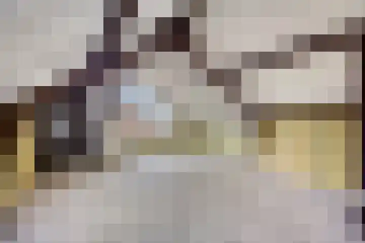 Wulpstraat 15 Hardenberg thumbnail 30