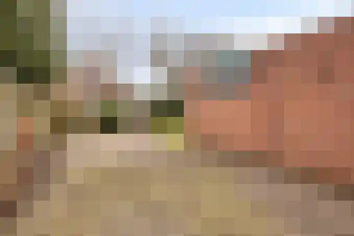 Wulpstraat 15 Hardenberg thumbnail 32