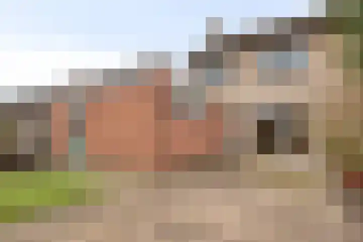 Wulpstraat 15 Hardenberg thumbnail 33
