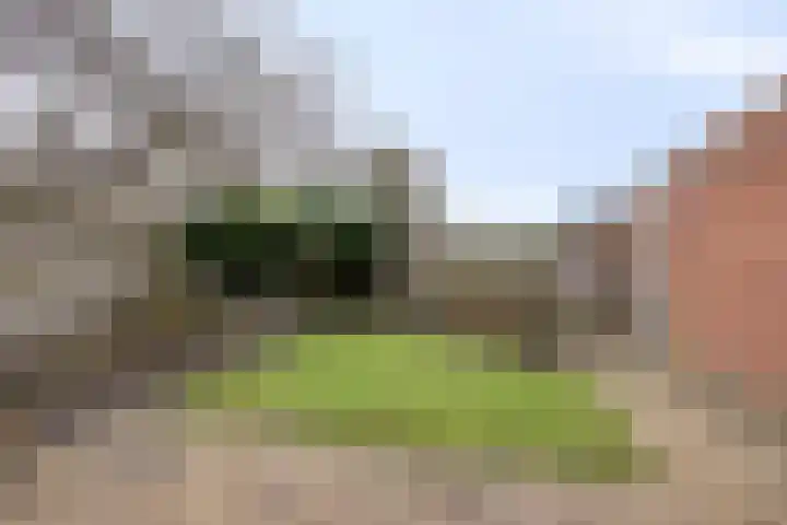 Wulpstraat 15 Hardenberg thumbnail 34