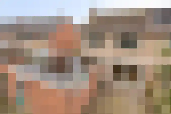 Wulpstraat 15 Hardenberg thumbnail 35
