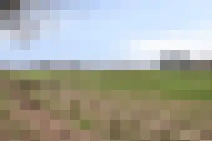 Wulpstraat 15 Hardenberg thumbnail 36