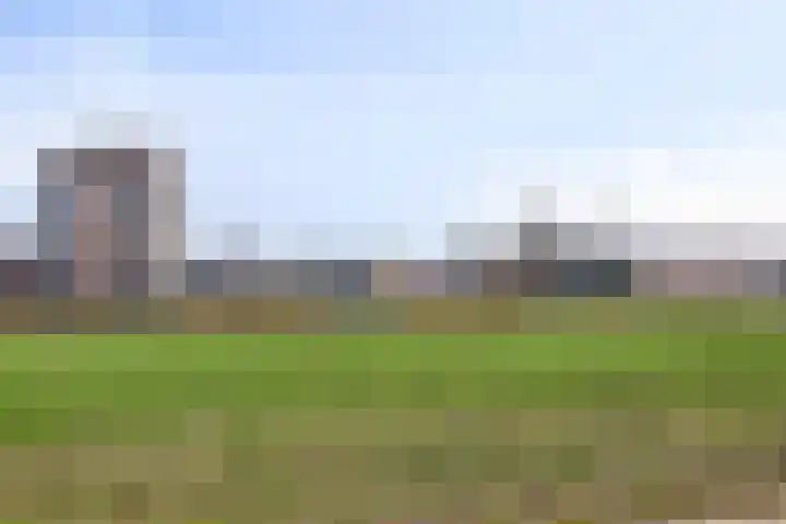 Wulpstraat 15 Hardenberg thumbnail 37