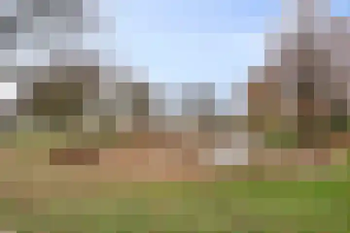 Wulpstraat 15 Hardenberg thumbnail 38