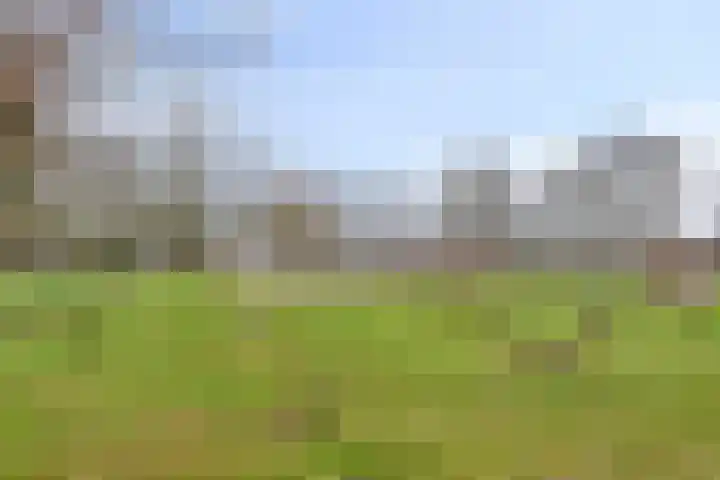 Wulpstraat 15 Hardenberg thumbnail 39