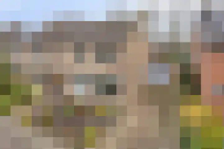 Wulpstraat 15 Hardenberg thumbnail 4
