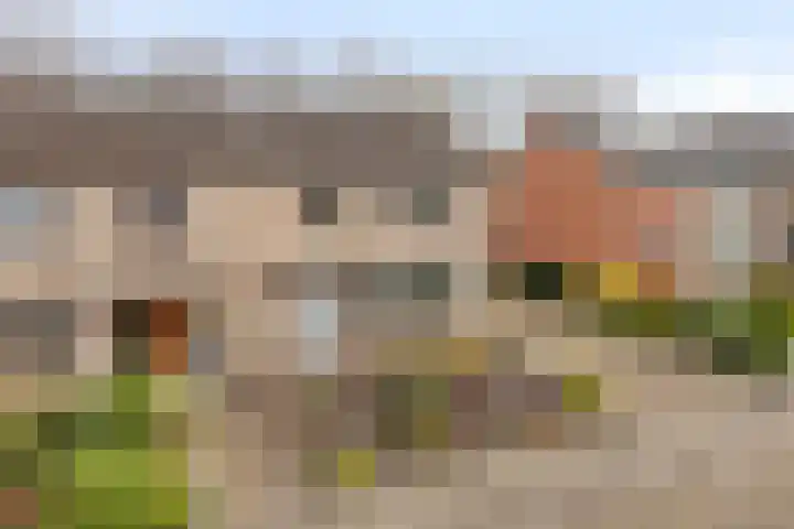 Wulpstraat 15 Hardenberg thumbnail 5