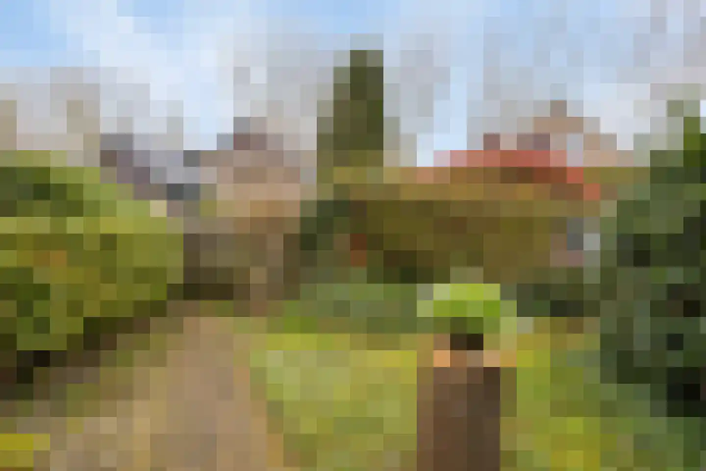 Wulpstraat 17 Hardenberg thumbnail 27