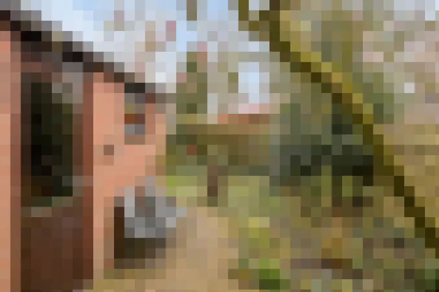Wulpstraat 17 Hardenberg thumbnail 28
