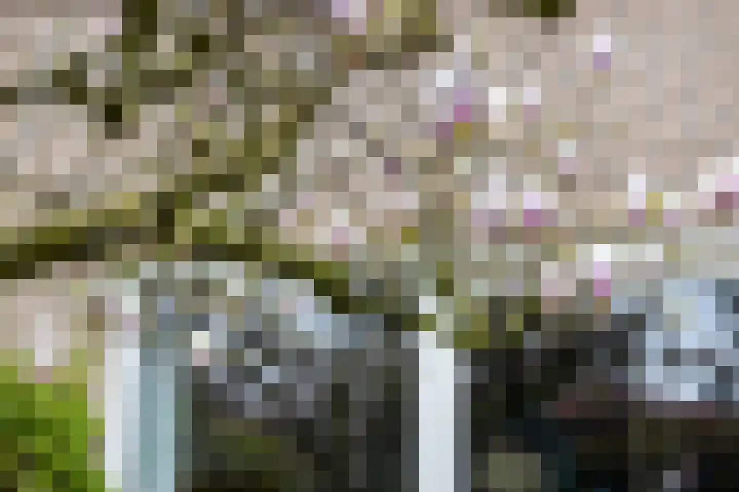 Wulpstraat 17 Hardenberg thumbnail 29