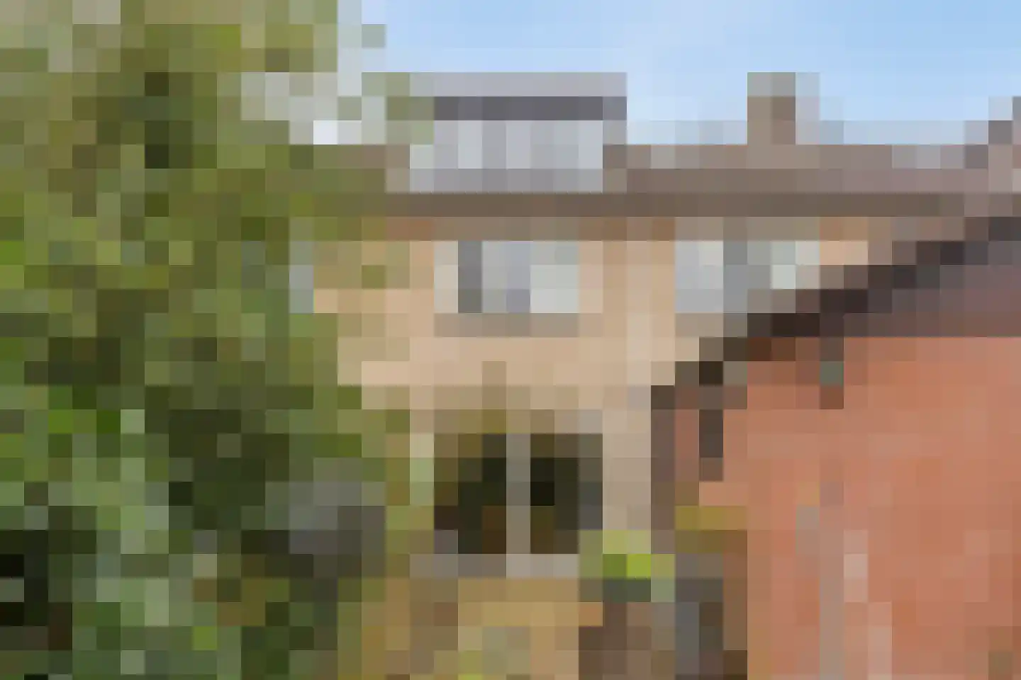 Wulpstraat 17 Hardenberg thumbnail 30