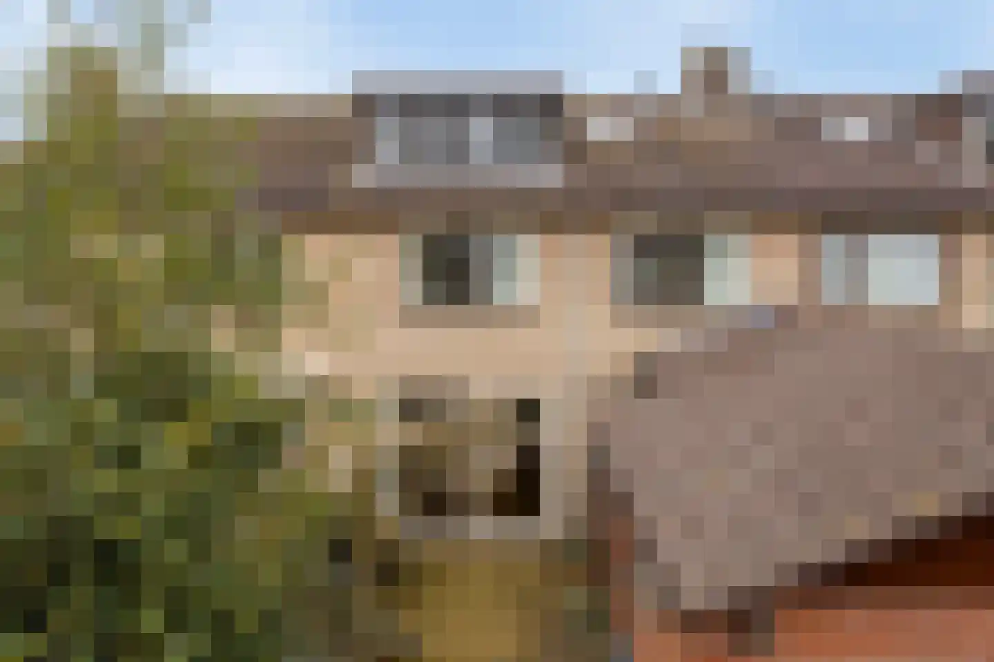 Wulpstraat 17 Hardenberg thumbnail 31