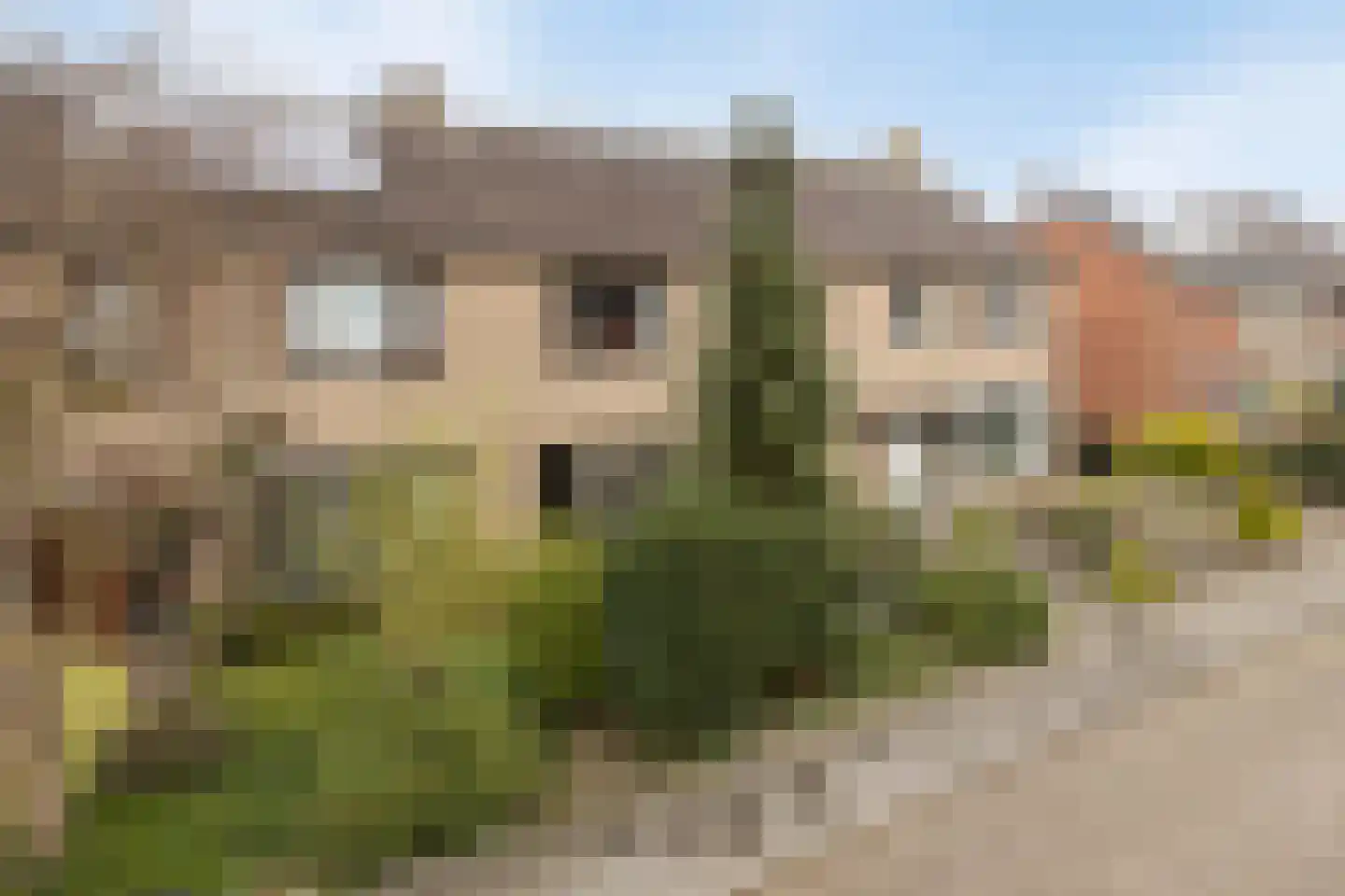 Wulpstraat 17 Hardenberg thumbnail 35