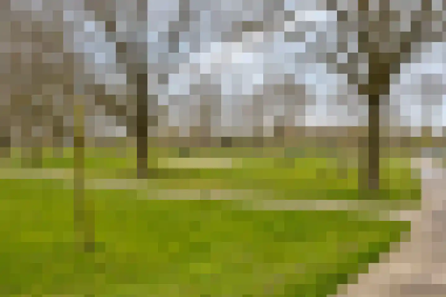Wulpstraat 17 Hardenberg thumbnail 40