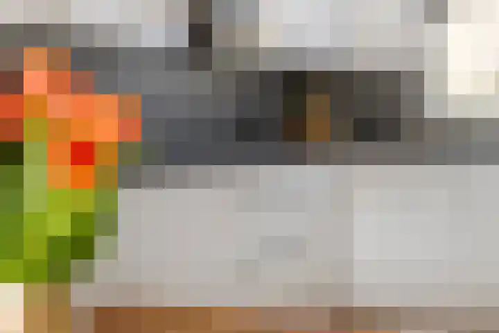 Wulpstraat 20 Maurik thumbnail 19