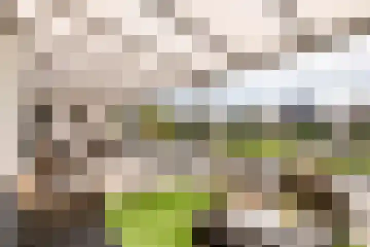 Wulpstraat 20 Maurik thumbnail 25