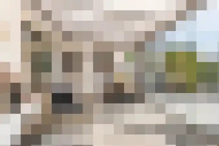 Wulpstraat 20 Maurik thumbnail 26