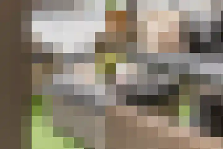 Wulpstraat 20 Maurik thumbnail 27