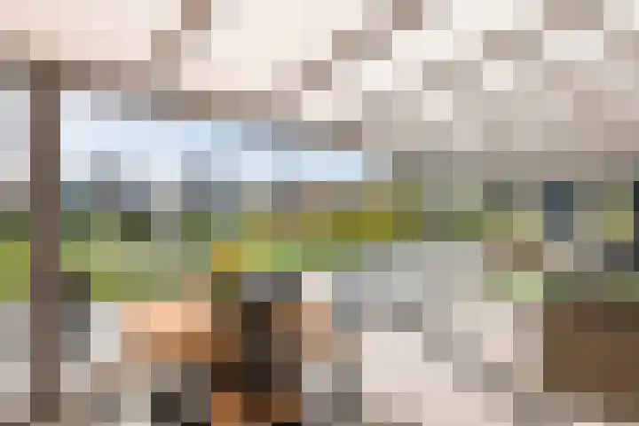 Wulpstraat 20 Maurik thumbnail 28