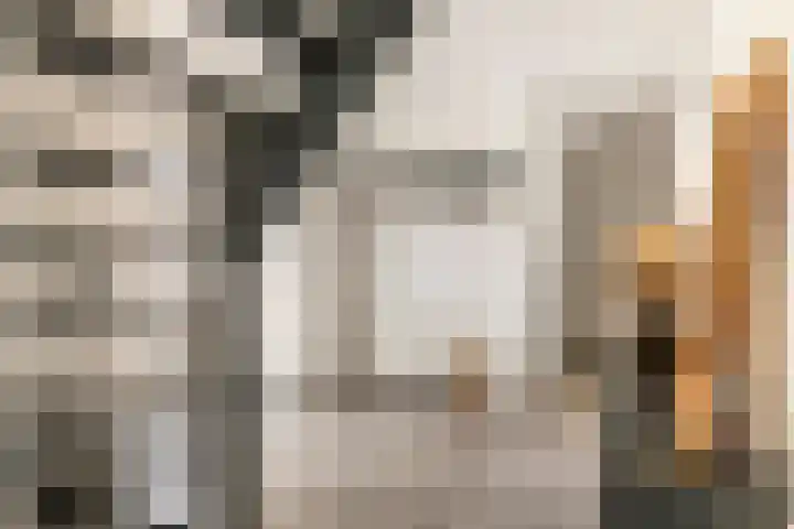 Wulpstraat 20 Maurik thumbnail 32