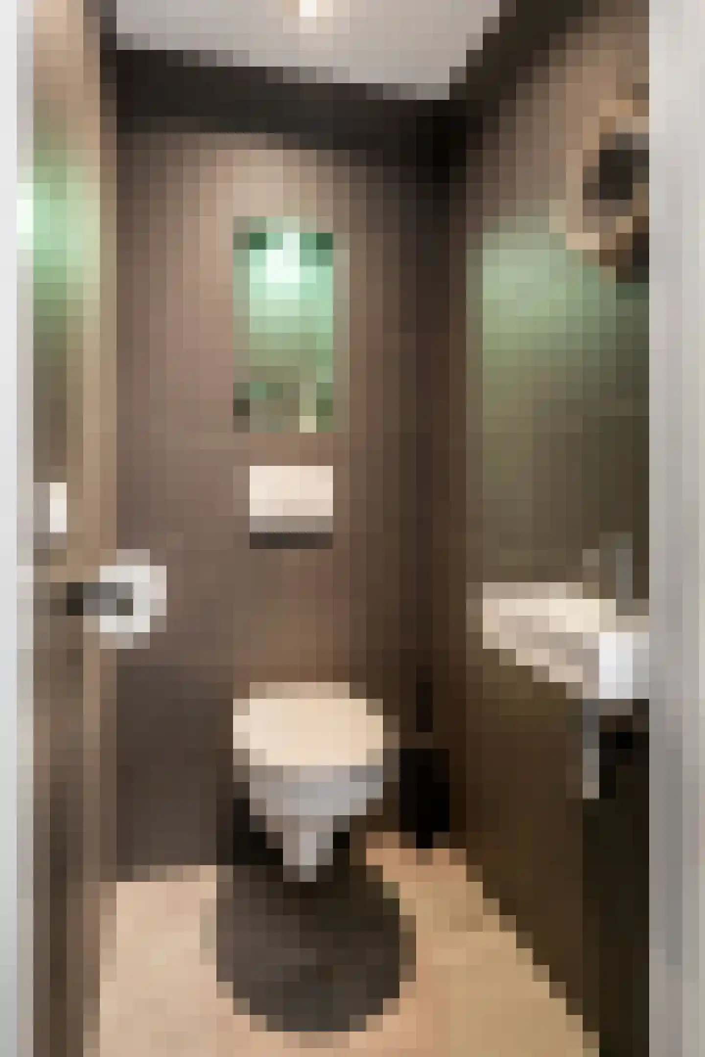 Wulpstraat 20 Maurik thumbnail 33