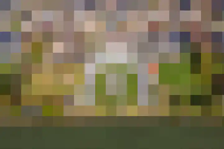 Wulpstraat 20 Maurik thumbnail 4