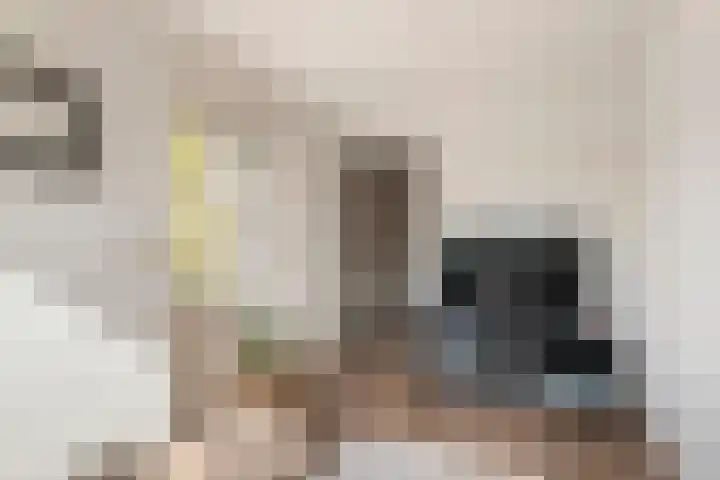 Wulpstraat 20 Maurik thumbnail 42