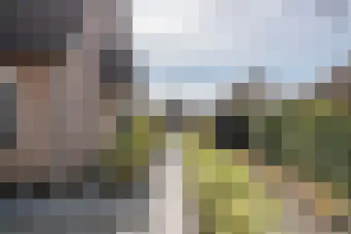 Wulpstraat 20 Maurik thumbnail 43
