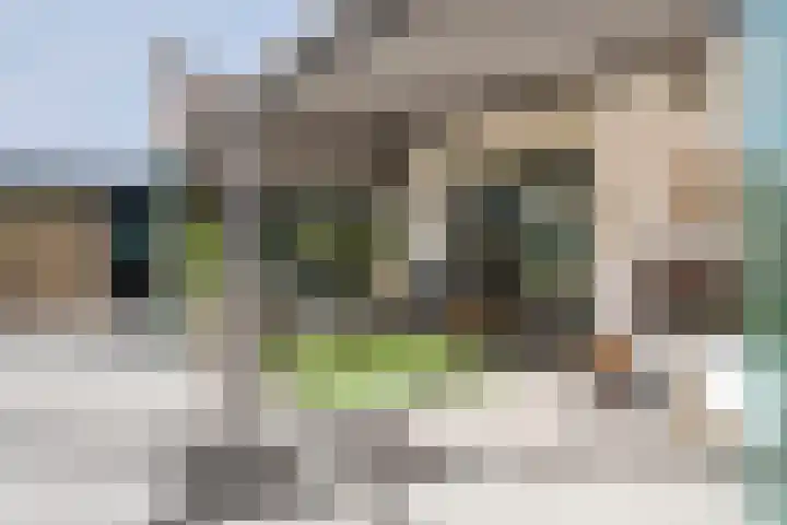 Wulpstraat 20 Maurik thumbnail 52