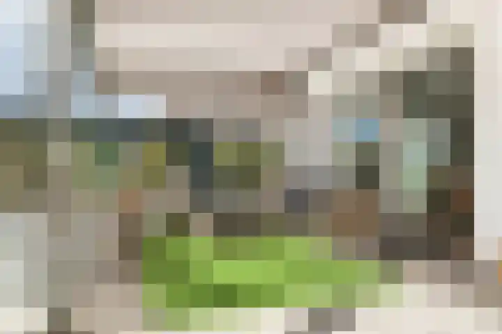 Wulpstraat 20 Maurik thumbnail 54