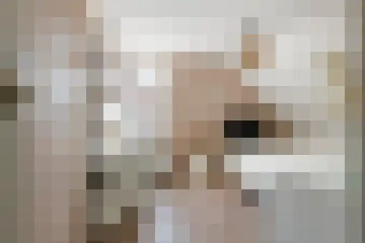 Wulpstraat 20 Maurik thumbnail 56