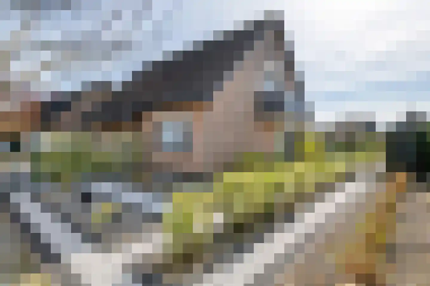 Wulpstraat 20 Maurik thumbnail 6