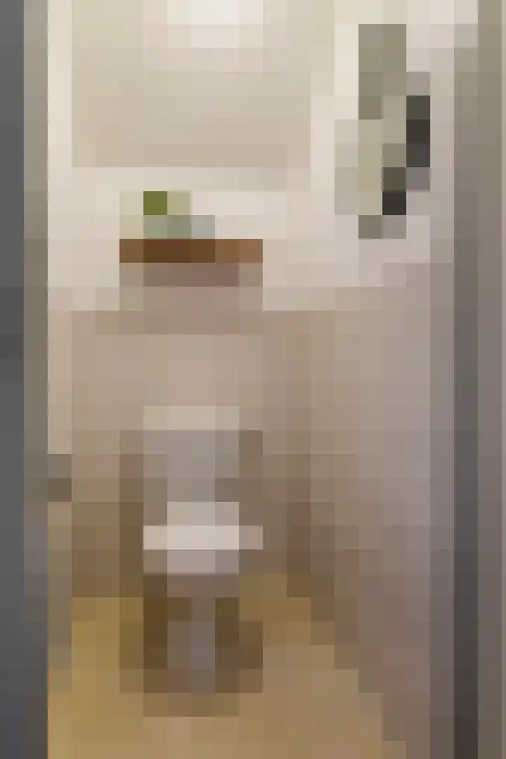 Wulpstraat 20 Maurik thumbnail 62
