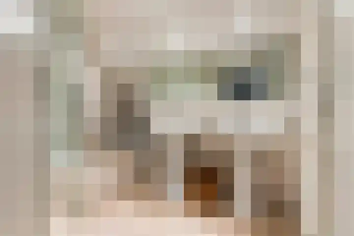 Wulpstraat 20 Maurik thumbnail 63