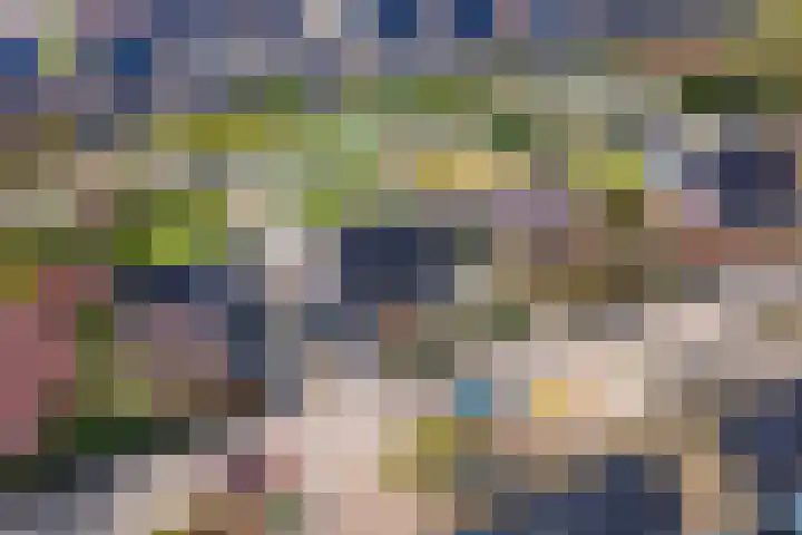 Wulpstraat 20 Maurik thumbnail 68