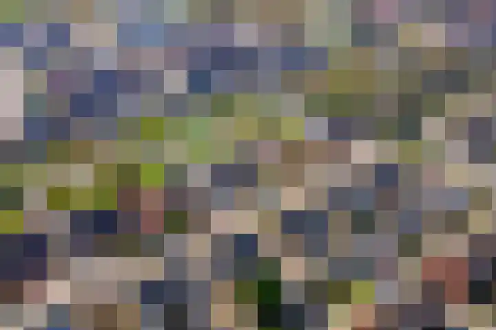 Wulpstraat 20 Maurik thumbnail 69