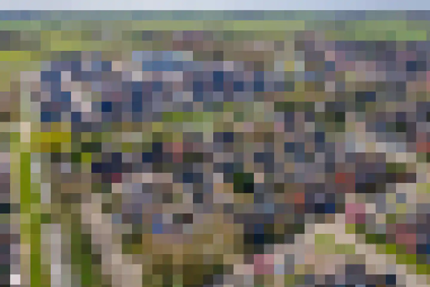 Wulpstraat 20 Maurik thumbnail 70