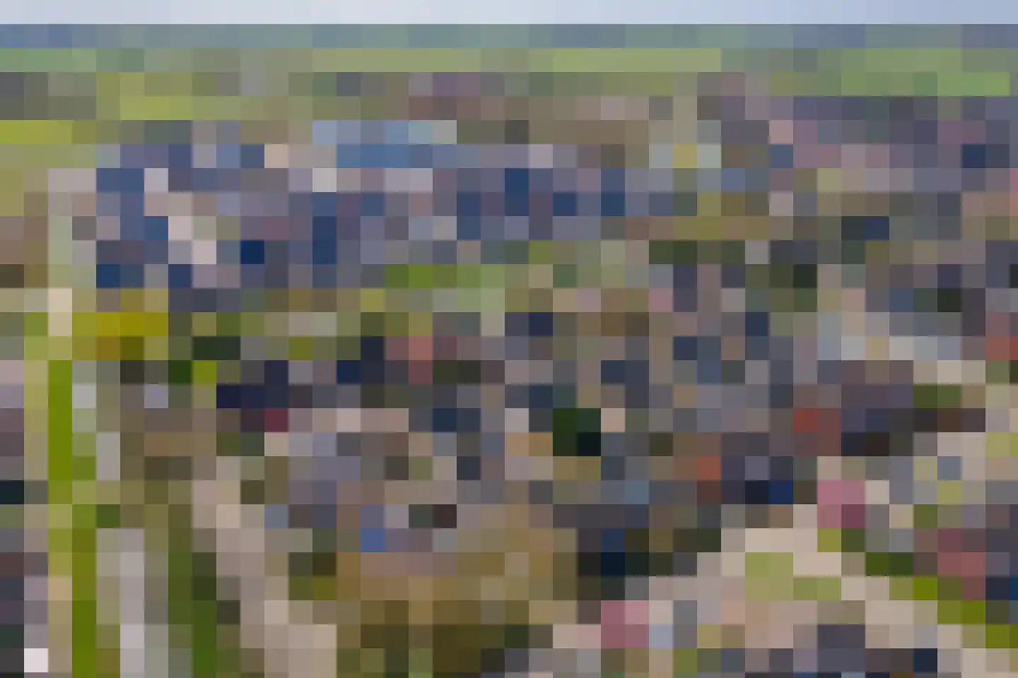 Wulpstraat 20 Maurik thumbnail 70