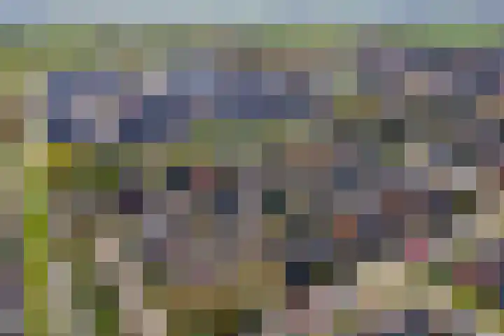 Wulpstraat 20 Maurik thumbnail 70