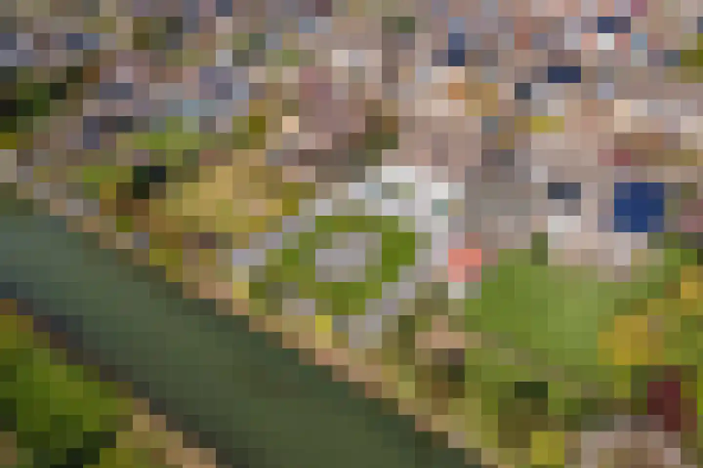 Wulpstraat 20 Maurik thumbnail 73