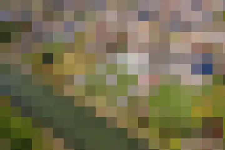 Wulpstraat 20 Maurik thumbnail 73
