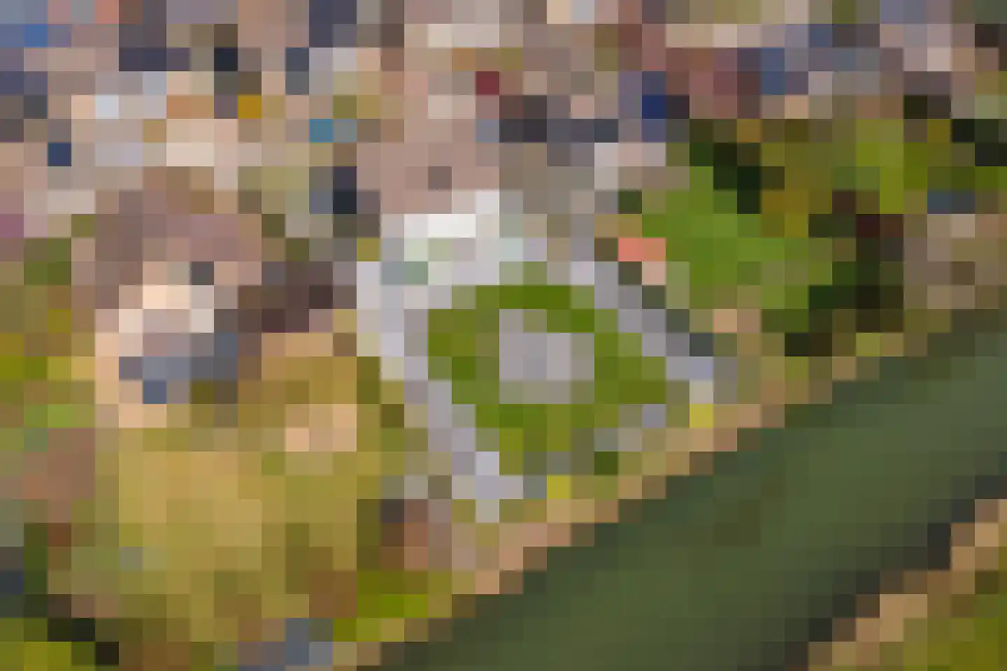 Wulpstraat 20 Maurik thumbnail 75