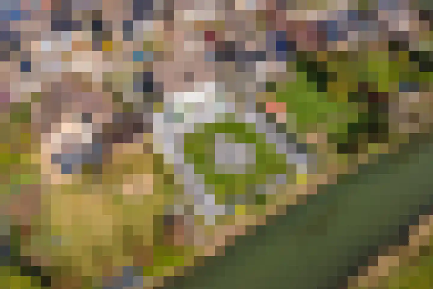 Wulpstraat 20 Maurik thumbnail 75