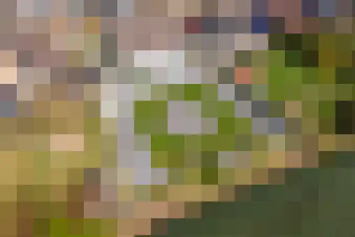 Wulpstraat 20 Maurik thumbnail 76