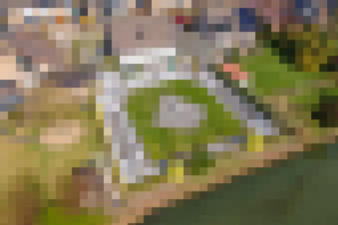 Wulpstraat 20 Maurik thumbnail 76