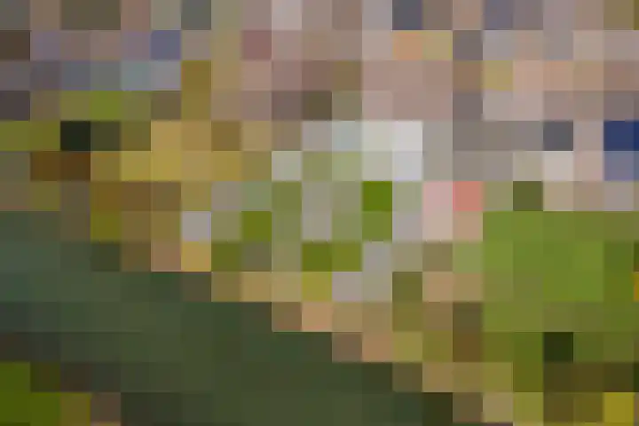 Wulpstraat 20 Maurik thumbnail 77