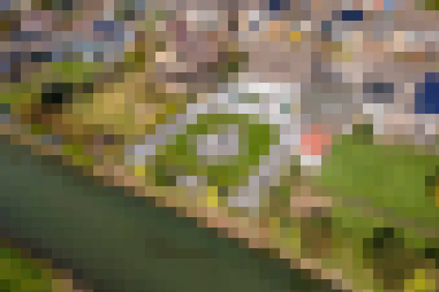Wulpstraat 20 Maurik thumbnail 77