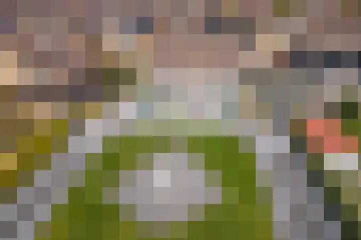 Wulpstraat 20 Maurik thumbnail 78